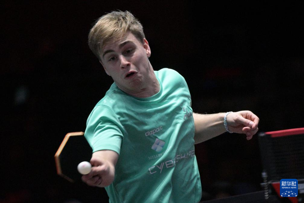 与规则条文 与规则条文